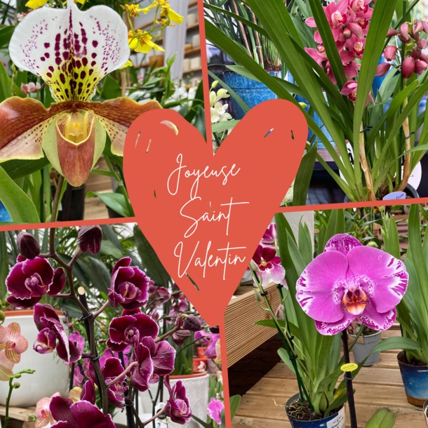 Inspiration jardin et Orchidée 33 pour la Saint Valentin